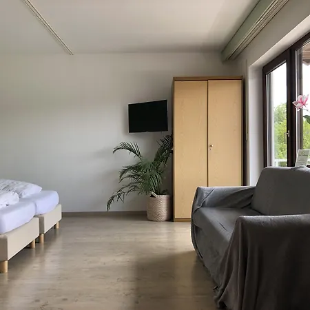 Suedhang 尼登费尔德