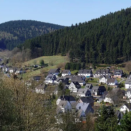 Suedhang 2* Niedersfeld