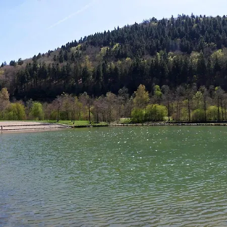 Suedhang 酒店 尼登费尔德