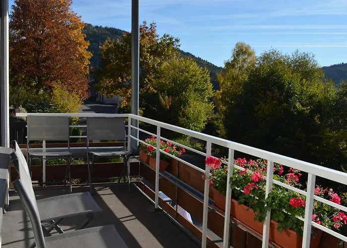 Suedhang Hotel Niedersfeld