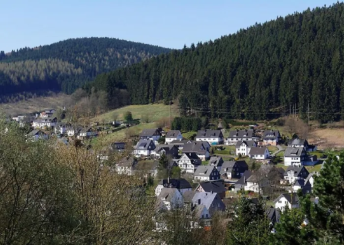 Suedhang 2* Niedersfeld