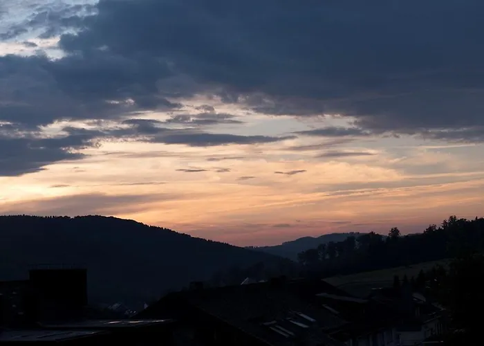 Suedhang Hotel Niedersfeld