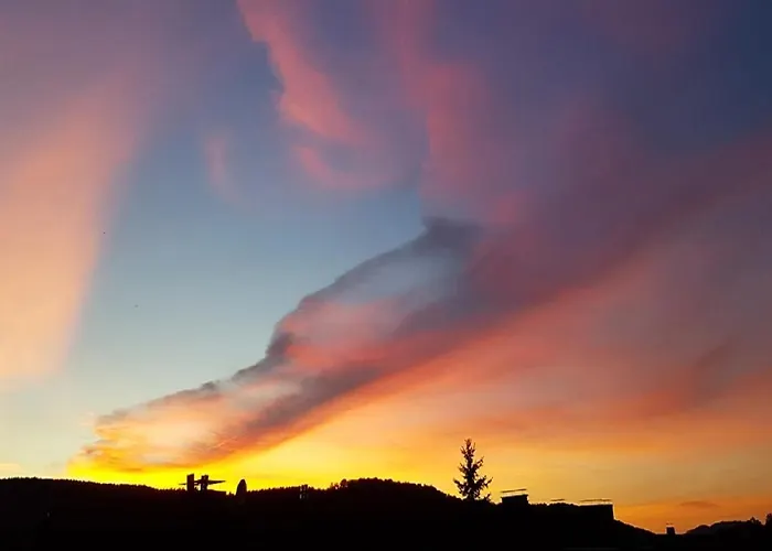 Suedhang Niedersfeld